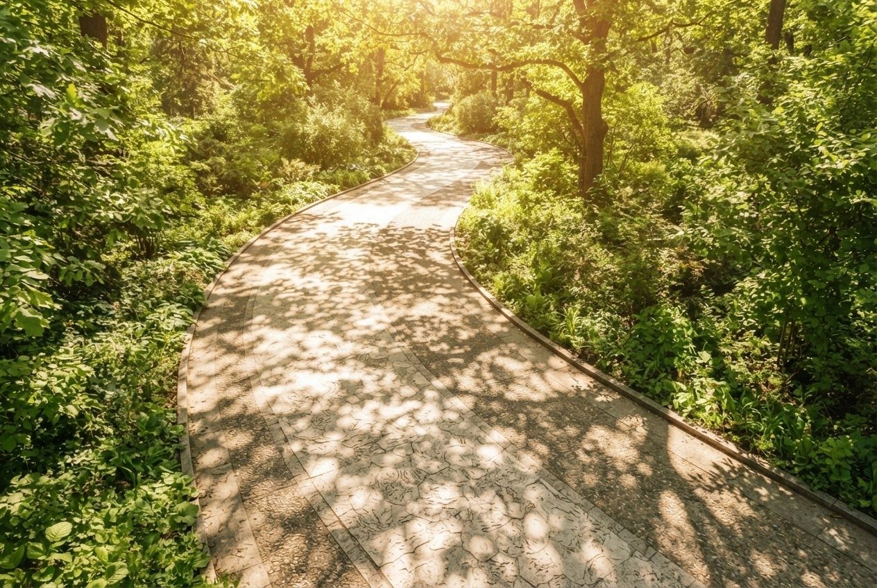 A bright empty path curving away with morning sunlight across it